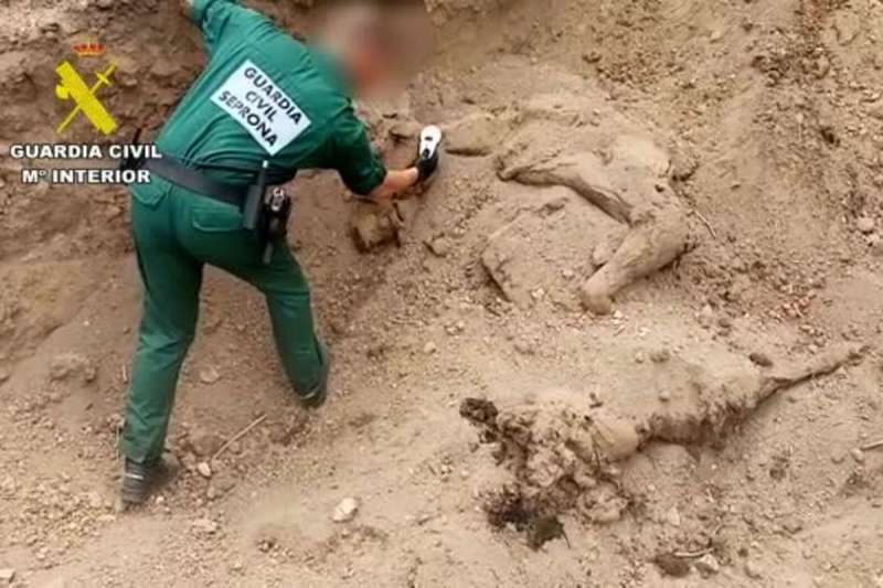 Police investigate a man for shooting and burying a horse on his farm