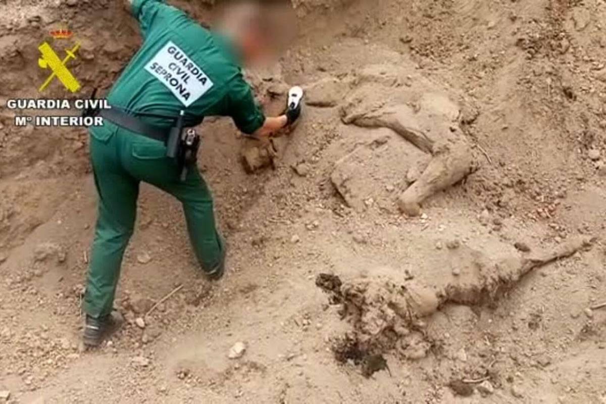 Police investigate a man for shooting and burying a horse on his farm