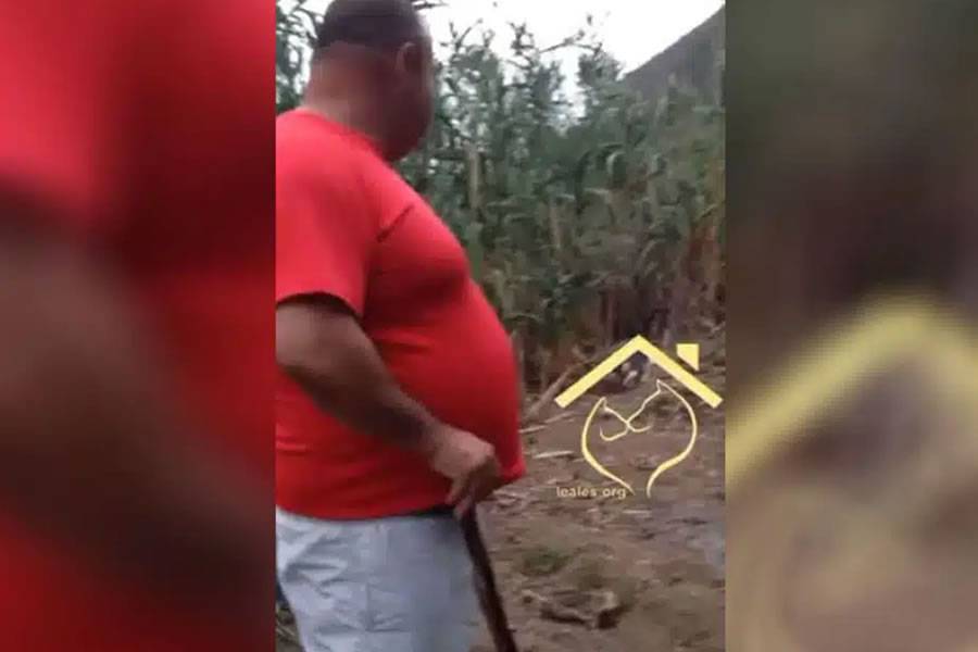 VIDEO: Search for a man who kicks a cat and laughs about it