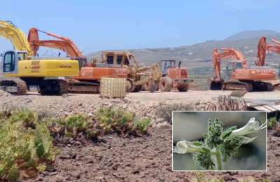 The Government orders the works at Cuna del Alma to be stopped