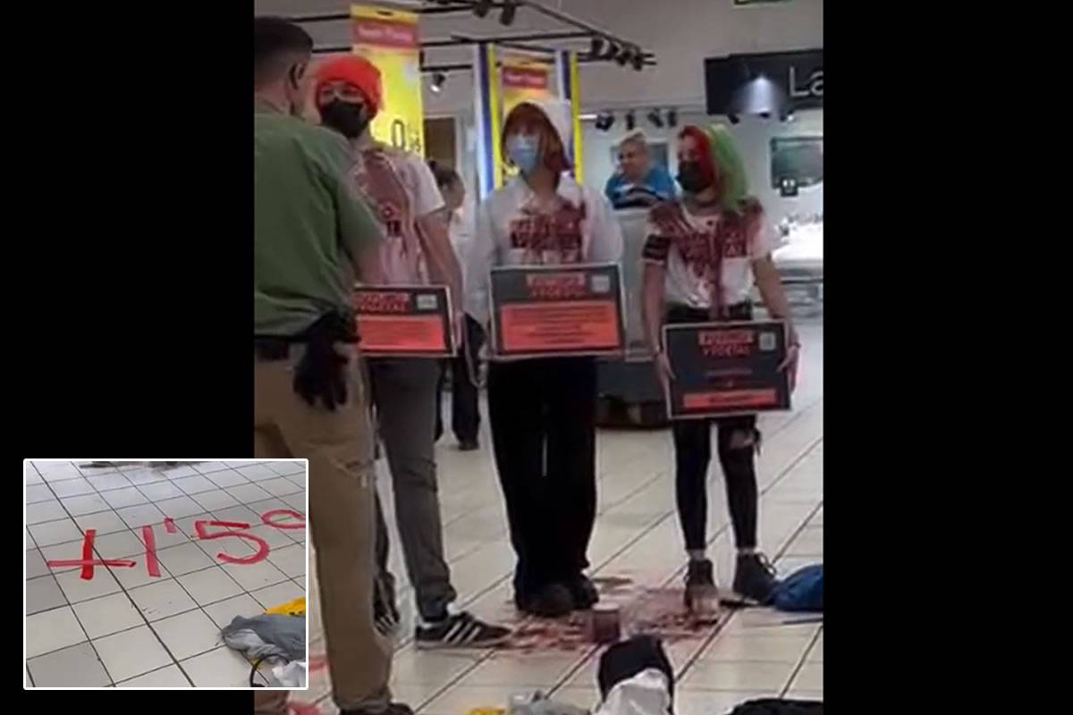 Activists chain themselves together in a Tenerife supermarket in protest against climate change Activists chain themselves together in a Tenerife supermarket in protest against climate change