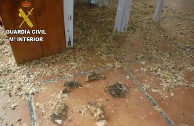 Agents find dead animals in a well-known pet shop in Tenerife from starvation