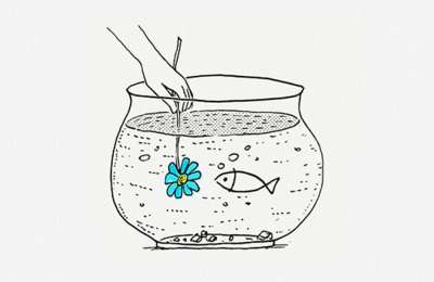 Useful tips for taking care of your fish tank