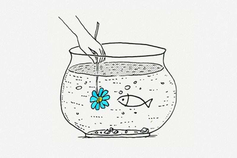 Useful tips for taking care of your fish tank
