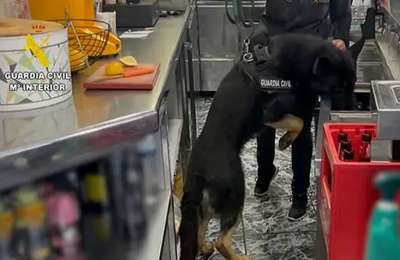 The canine drugs unit search bars and restaurants in Tenerife