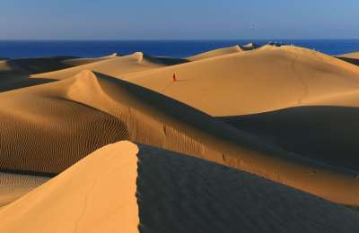 TRAVEL: Discover the sand dunes of Maspalomas