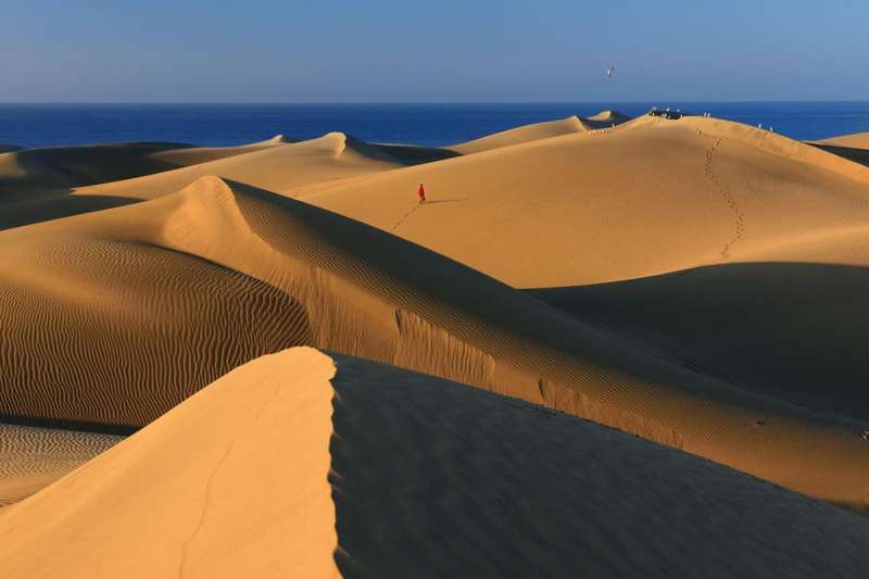 TRAVEL: Discover the sand dunes of Maspalomas