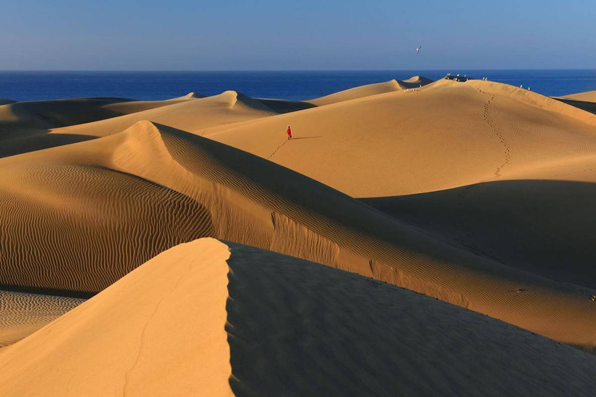 TRAVEL: Discover the sand dunes of Maspalomas