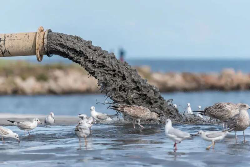 Huge amounts of sewage continue to be dumped directly into the sea 