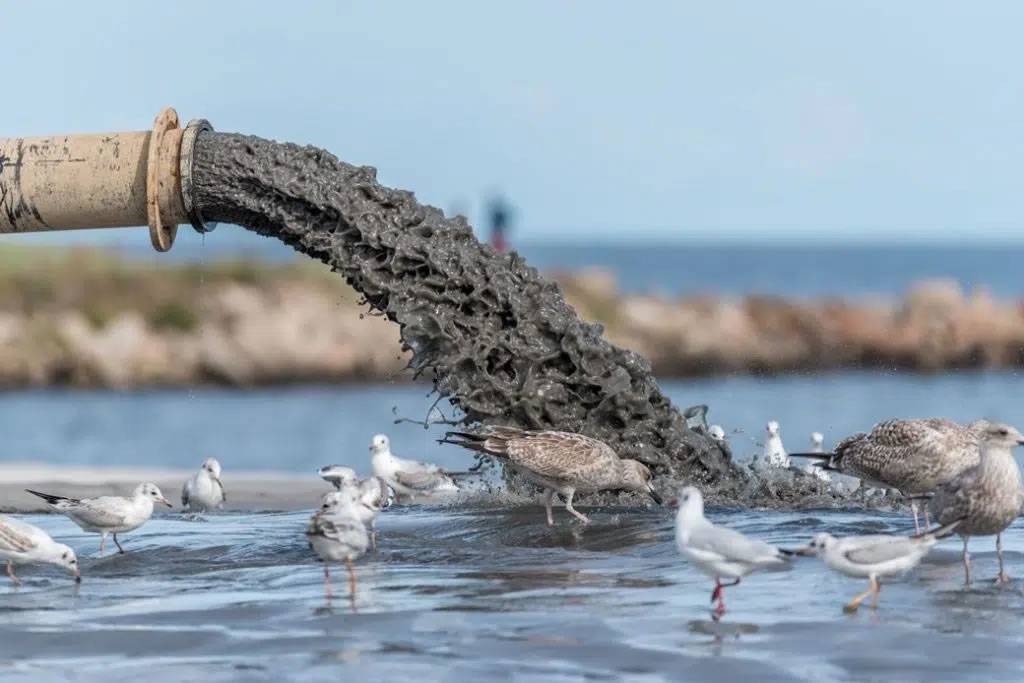 Huge amounts of sewage continue to be dumped directly into the sea 