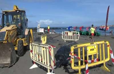 A dead whale washes up on a beach in the south of Tenerife