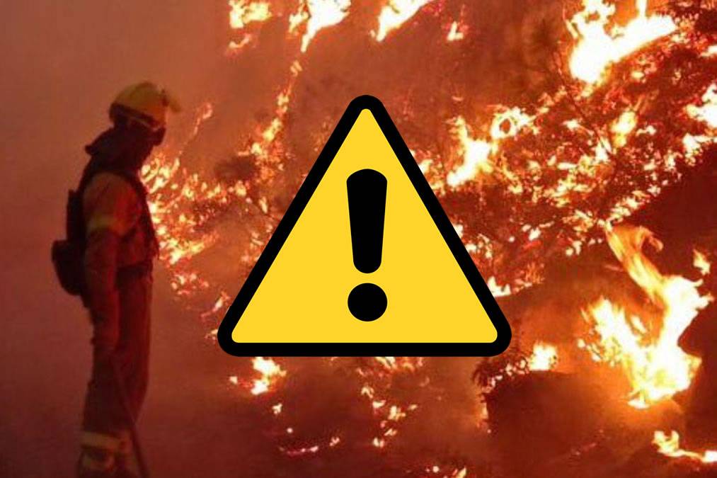 WARNING: An alert is declared for forest fires in the Canary Islands