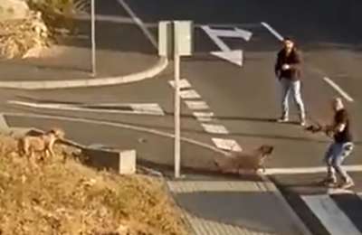 JUPOL defends the actions of police officers that shot two dogs in Tenerife