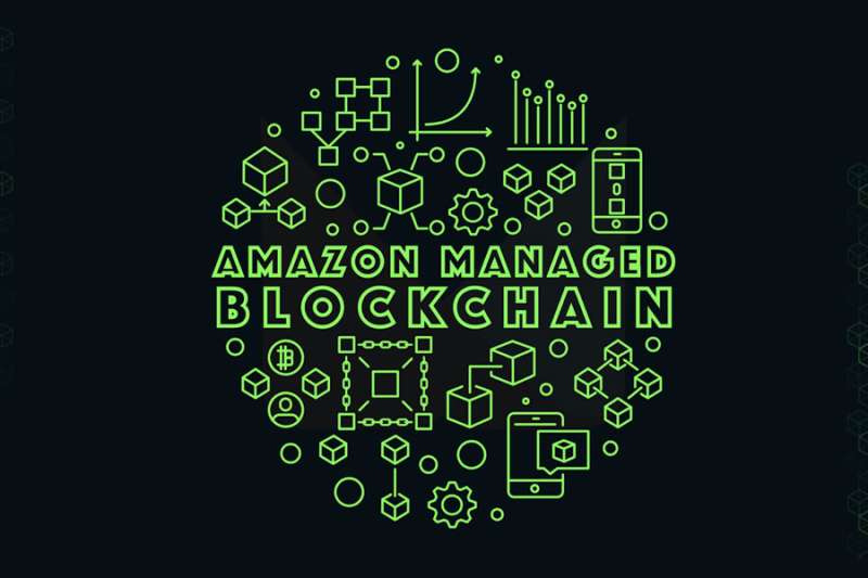 Does the Amazon Company use Blockchain?
