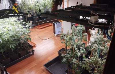 A marijuana plantation is discovered in a house in Tinajo