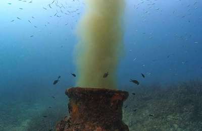 Increased concern over the amount of sewage being dumped in the sea in the Canaries