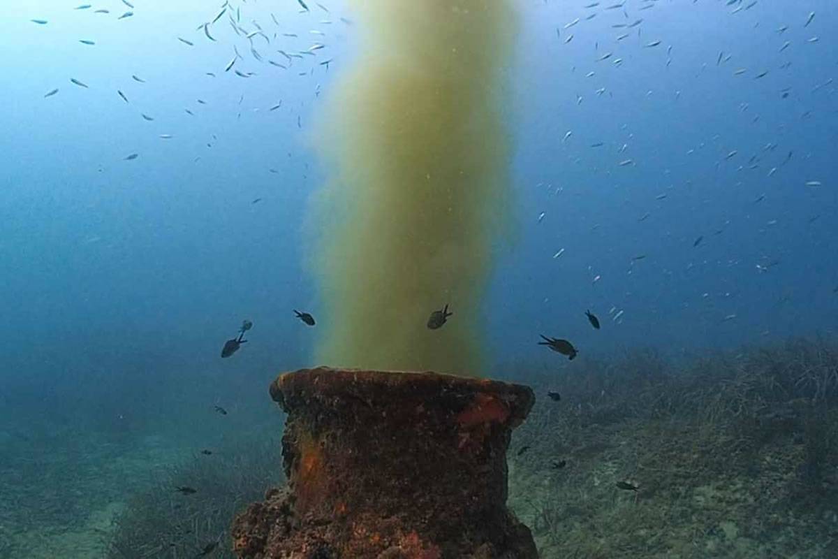 Increased concern over the amount of sewage being dumped in the sea in the Canaries