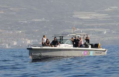 Whale Wise Eco Tours becomes part of the WeWhale family