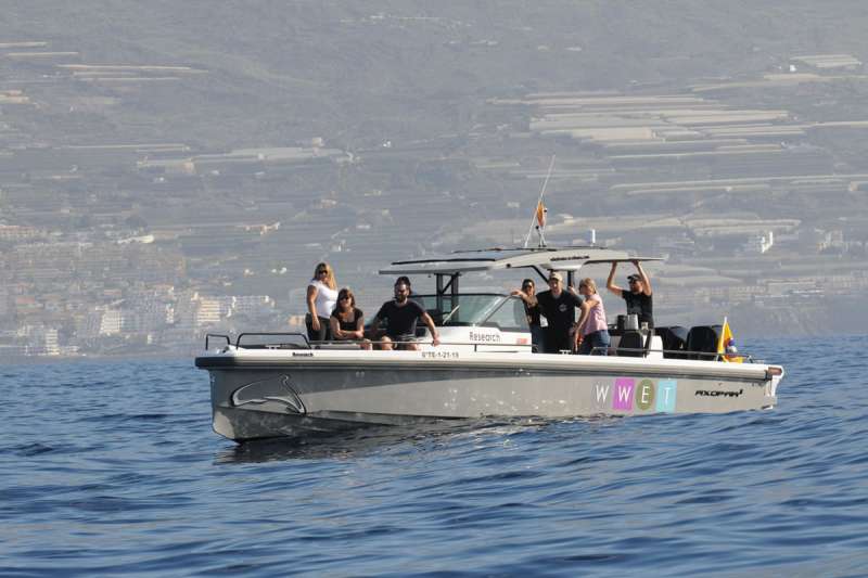 Whale Wise Eco Tours becomes part of the WeWhale family