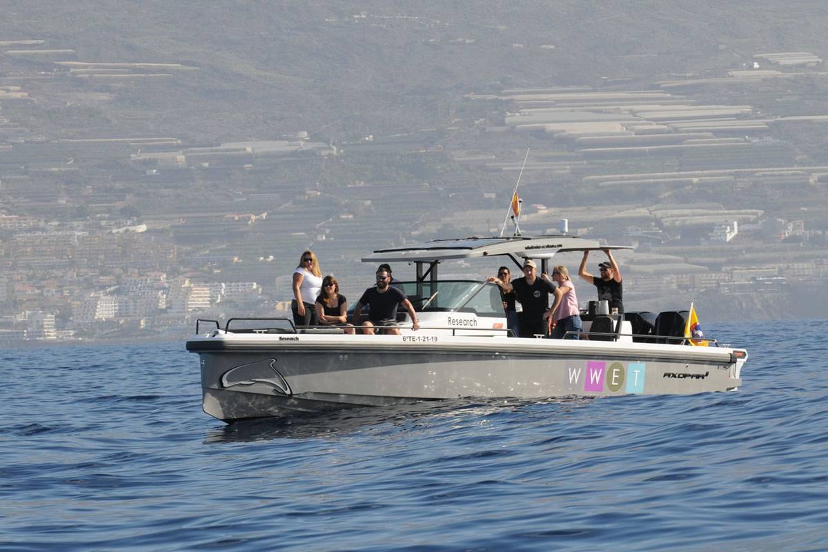 Whale Wise Eco Tours becomes part of the WeWhale family