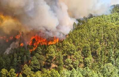 The Government activates alerts for the risk of forest fires in five islands