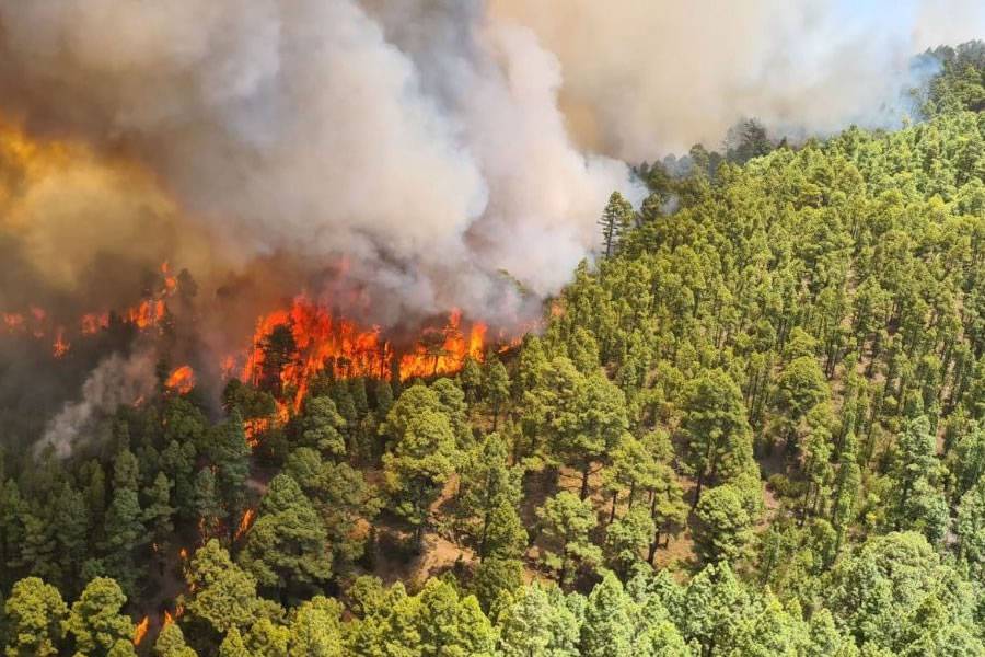 The Government activates alerts for the risk of forest fires in five islands
