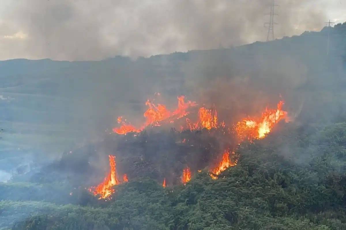 Second outbreak of fire in two days in Tenerife due to the heat