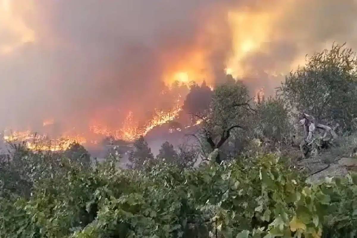 FIRE UPDATE: The fire now covers 11,000 acres and 2,000 people have been evacuated