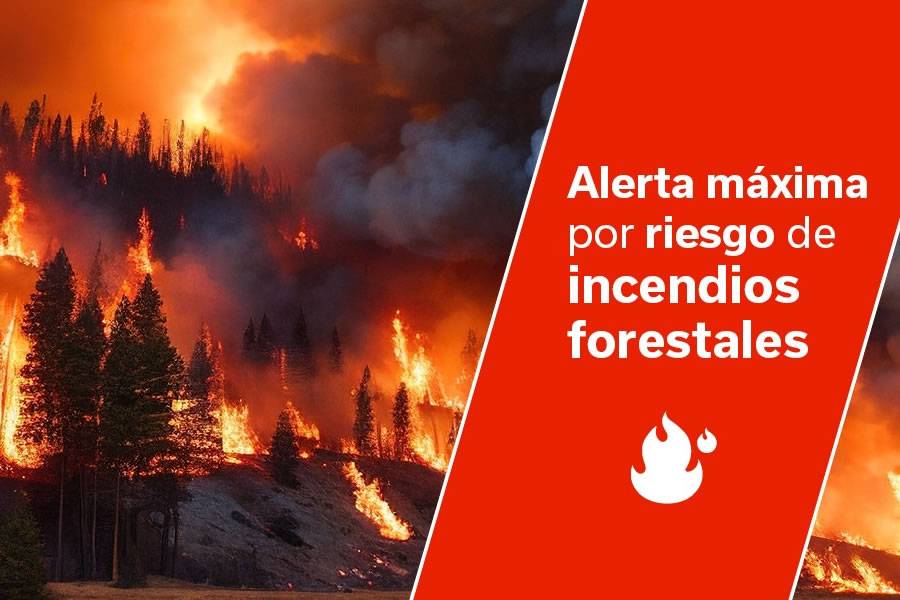 Red alerts are activated for fires with two more outbreaks in Tenerife and Gran Canaria