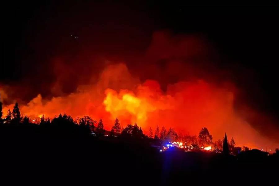 PHOTOS: The forest fire in La Palma continues to burn out of control