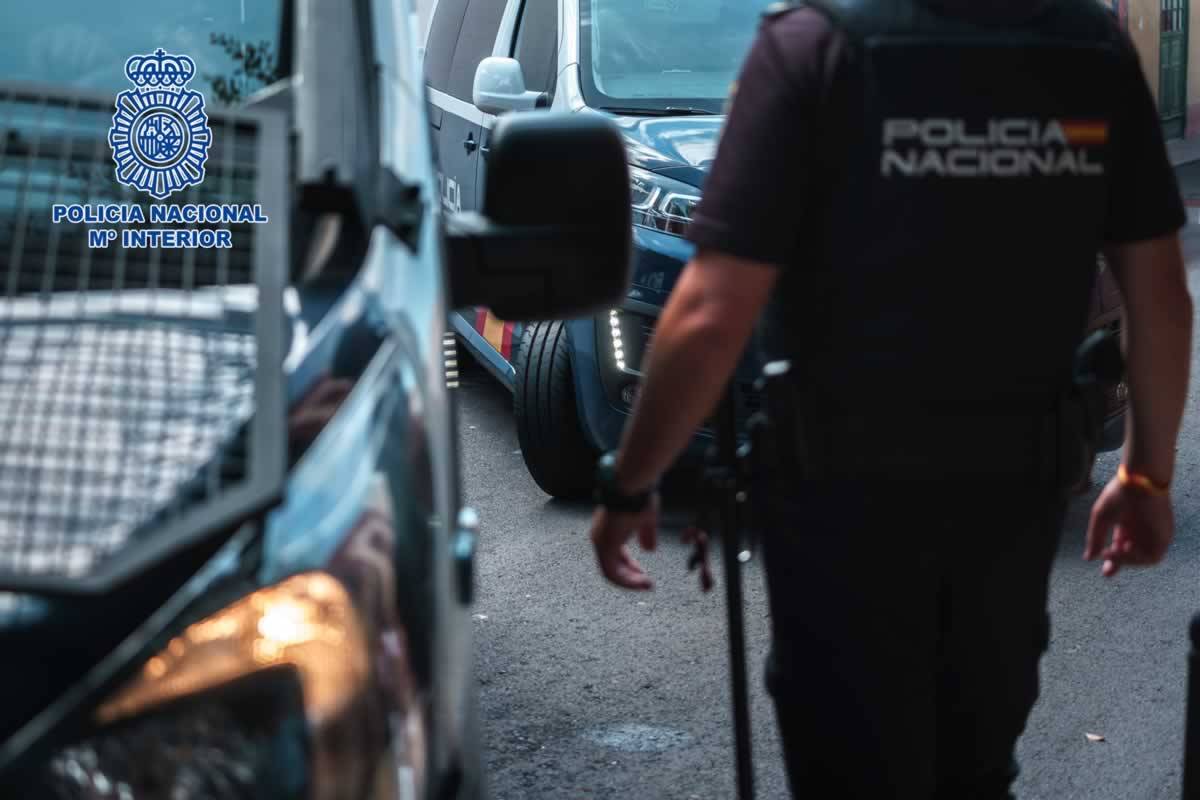 Burglar arrested in the south of Tenerife accused of robbing 13 hotel rooms