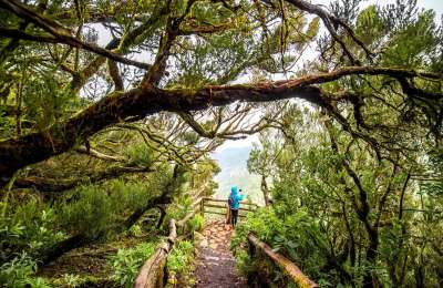 Biodiversity in the Canary Islands: A study resource for environmental science students