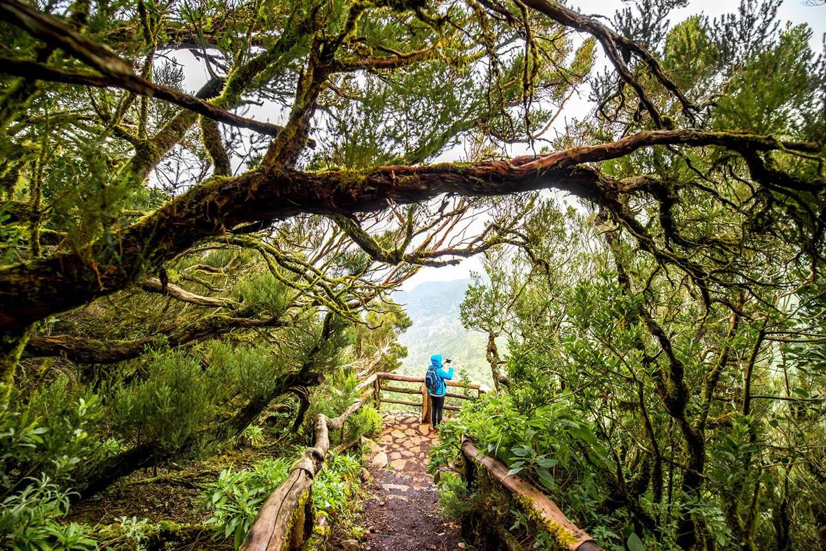 Biodiversity in the Canary Islands: A study resource for environmental science students