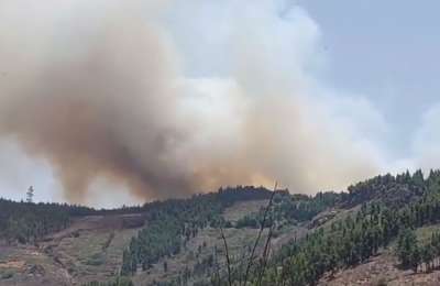 VIDEO: A forest fire is spreading quickly in Gran Canaria 