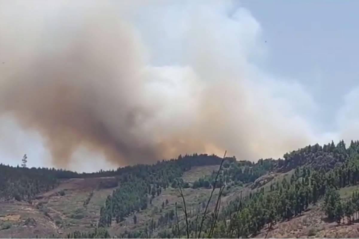 VIDEO: A forest fire is spreading quickly in Gran Canaria 