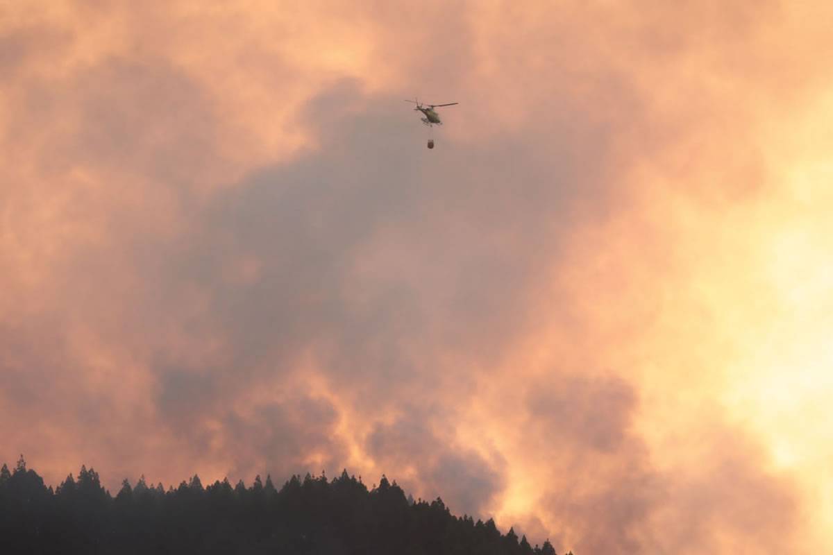 The fire in Gran Canaria has now destroyed 210 hectares of forest