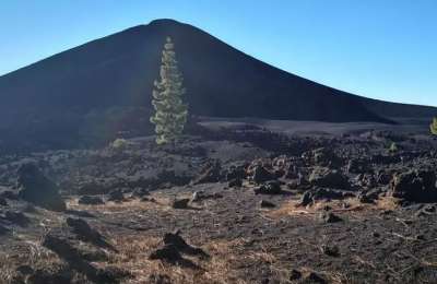 Earthquakes in the Canaries: Are the latest seismic swarms linked with volcanic activity?