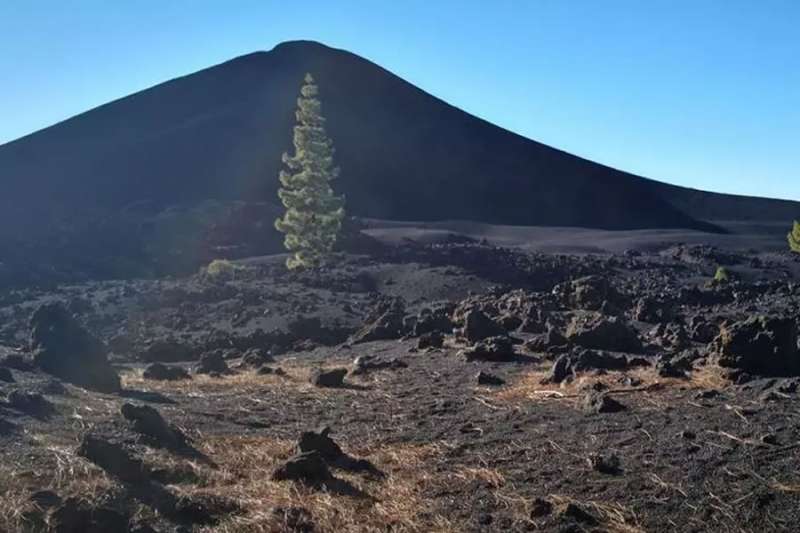 Earthquakes in the Canaries: Are the latest seismic swarms linked with volcanic activity?