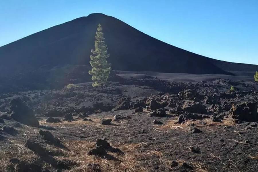 Earthquakes in the Canaries: Are the latest seismic swarms linked with volcanic activity?