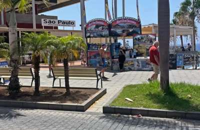 Legal excursion companies have taken their issues to the Government