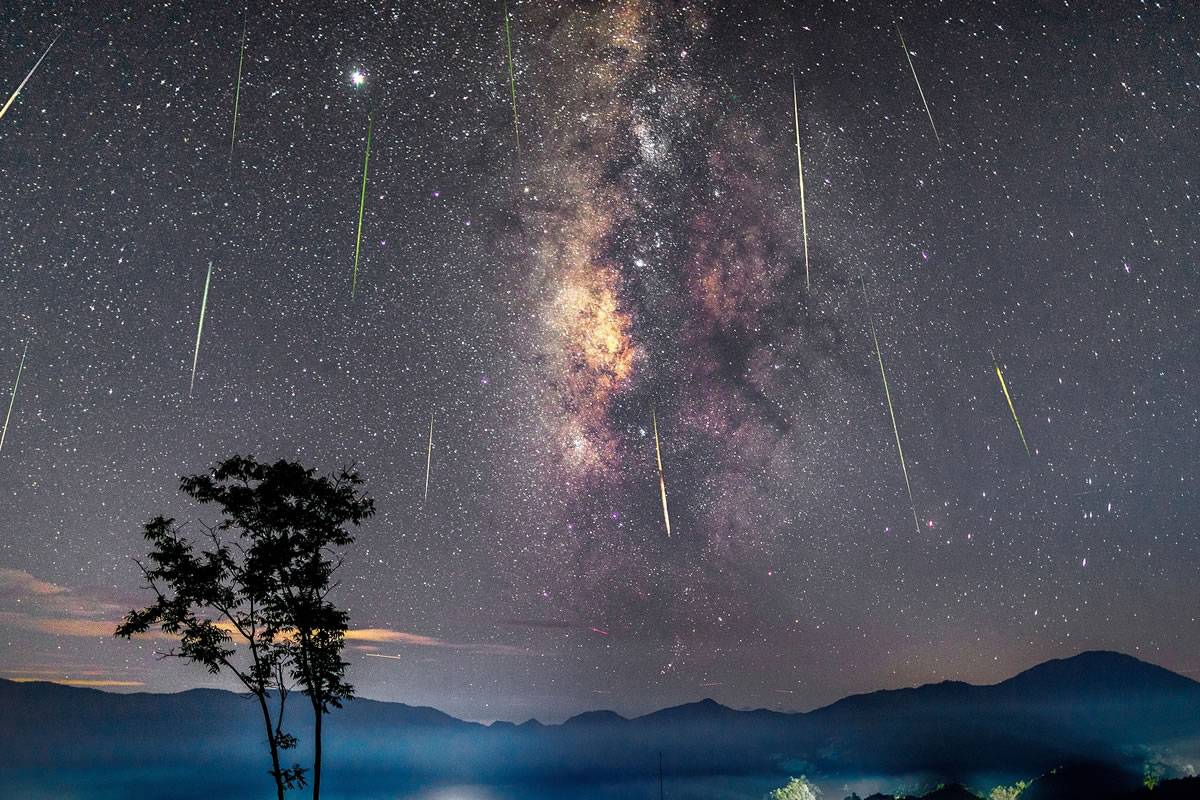The Perseids meteor show will be broadcast live from the Canary Islands