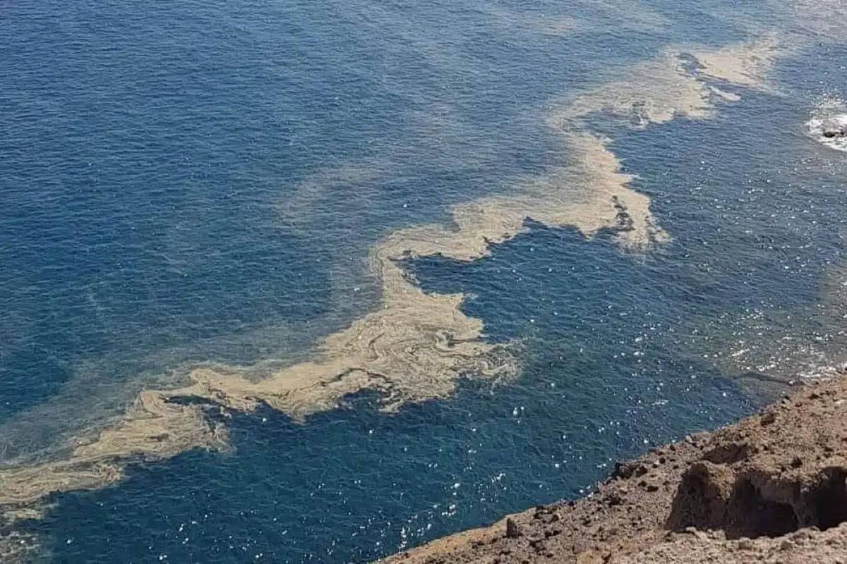 Two municipalities in the south of Tenerife ban swimming in the sea due to ‘unidentified’ waste