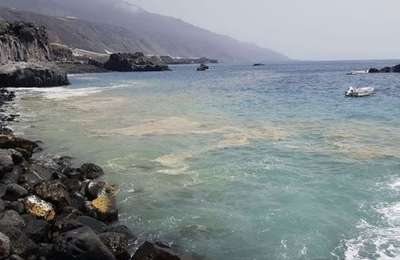 ‘Huge amounts’ of microalgae will arrive on the Canary coastline this week