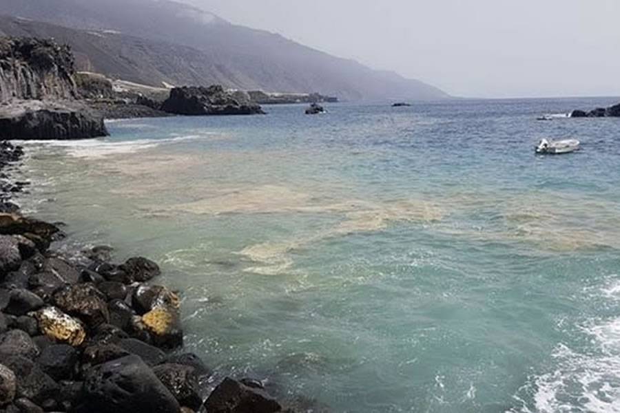 ‘Huge amounts’ of microalgae will arrive on the Canary coastline this week