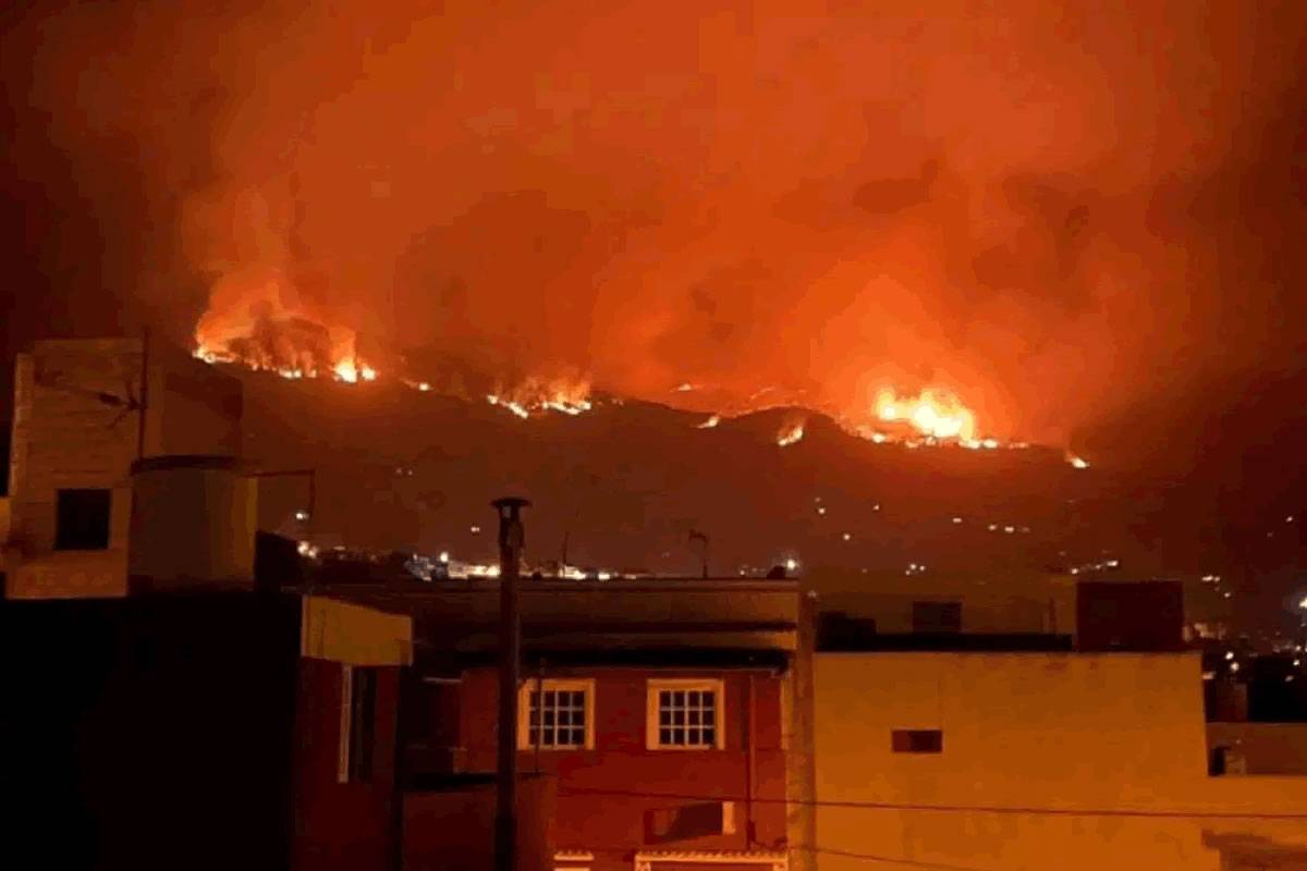 VIDEO: Emergency situation declared as forest fire breaks out in Tenerife