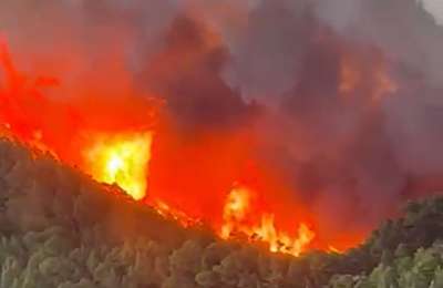 VIDEO: Latest helicopter footage shows intensity of Tenerife forest fire