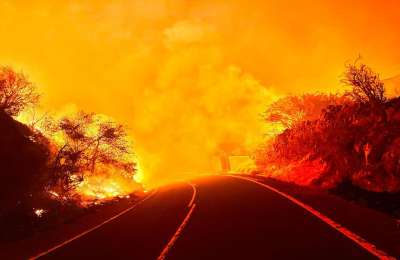 UPDATE: The fire in Tenerife is burning out of control and now covers 1,800 hectares