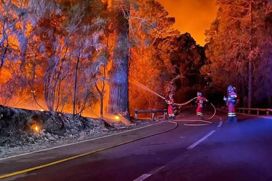 LATEST: The Tenerife fire has spread uncontrollably through the night 