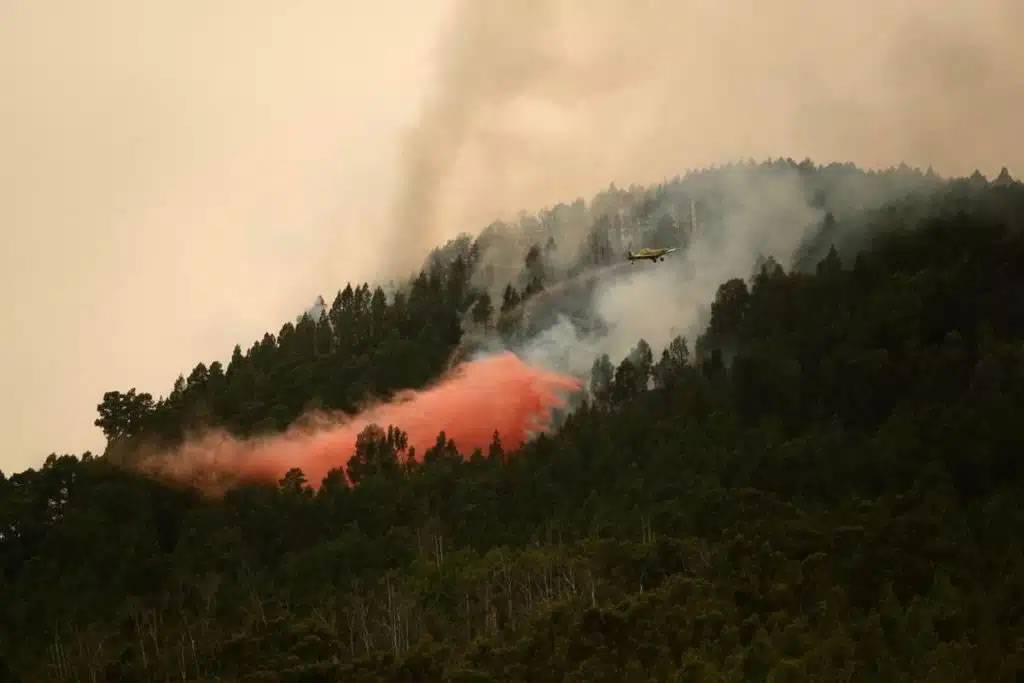 All roads to Teide are closed, buses cancelled, and the fire keeps reigniting itself