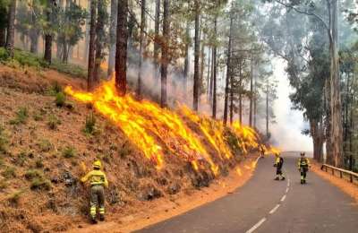 CLAVIJO: Please do NOT try and access areas of fire to take photos 